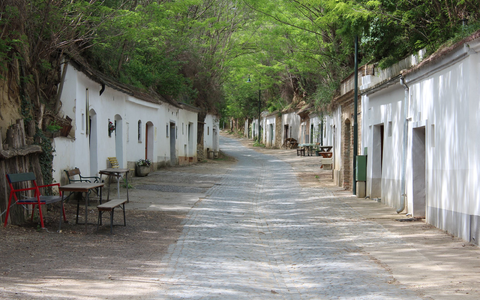 Kellergasse auch als Radweg in Poysdorf - Foto: Weinviertel Tourismus - Krönigsberger über pressetext.de