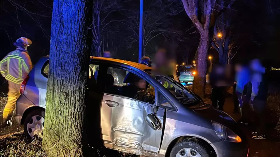 POL-DU: Friemersheim: Honda kommt von Fahrbahn ab und kollidiert mit einem Baum - Bild: presseportal.de