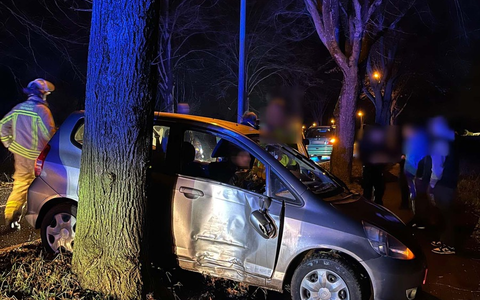 POL-DU: Friemersheim: Honda kommt von Fahrbahn ab und kollidiert mit einem Baum - Foto: presseportal.de POL-DU: Friemersheim: Honda kommt von Fahrbahn ab und kollidiert mit einem Baum - Foto: presseportal.de