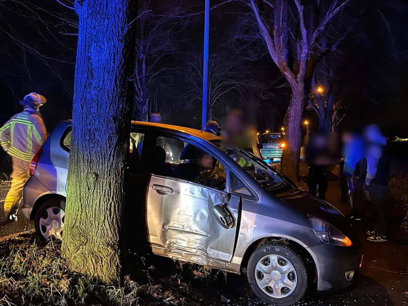 POL-DU: Friemersheim: Honda kommt von Fahrbahn ab und kollidiert mit einem Baum - Foto: presseportal.de