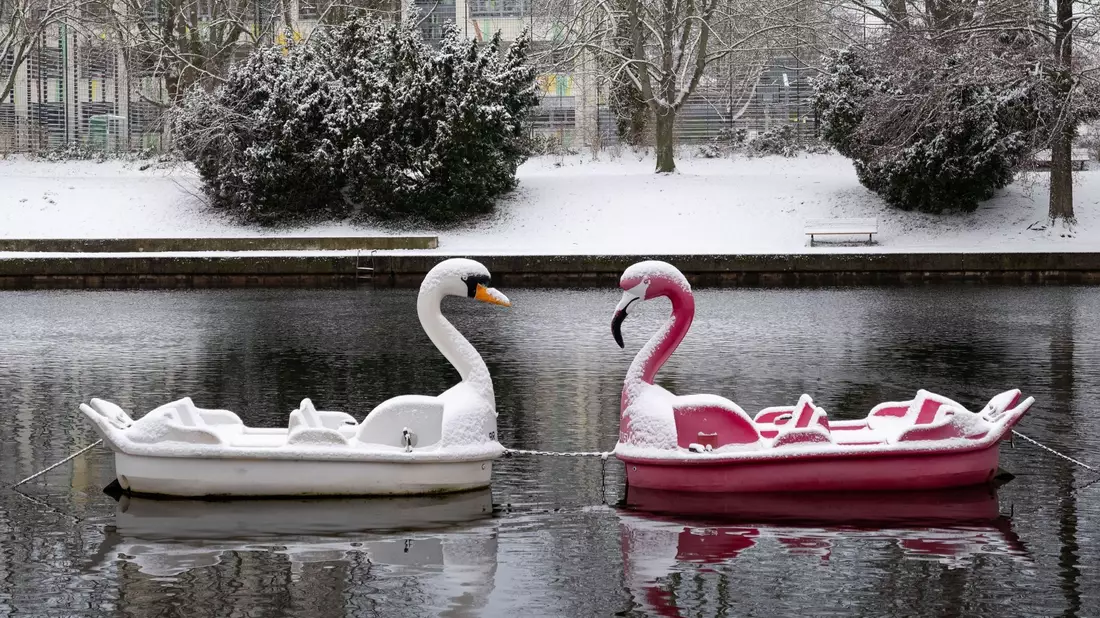 Schneebedeckt: Zwei Tretboote in Form eines Schwans und eines Flamingos auf der Havel in Potsdam. - Bild: Georg Moritz/dpa