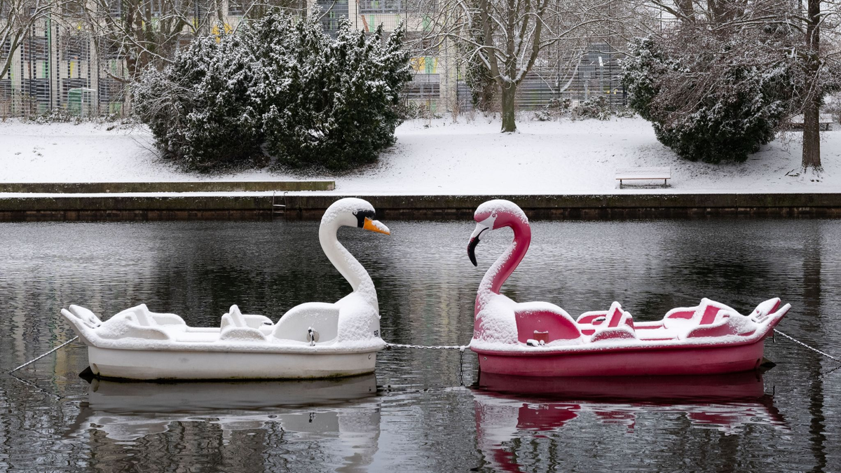 Schneebedeckt: Zwei Tretboote in Form eines Schwans und eines Flamingos auf der Havel in Potsdam. - Foto: Georg Moritz/dpa