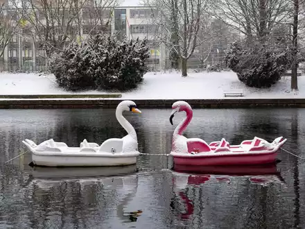 Schneebedeckt: Zwei Tretboote in Form eines Schwans und eines Flamingos auf der Havel in Potsdam. - Foto: Georg Moritz/dpa