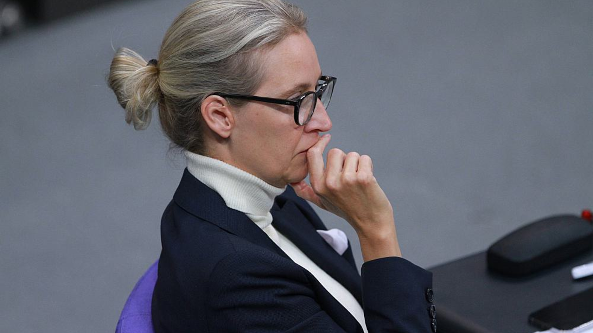 Alice Weidel (Archiv) - Foto: über dts Nachrichtenagentur