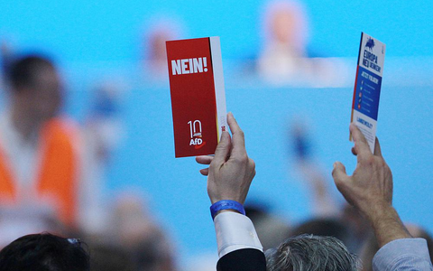 Abstimmung auf AfD-Parteitag (Archiv) - Foto: über dts Nachrichtenagentur