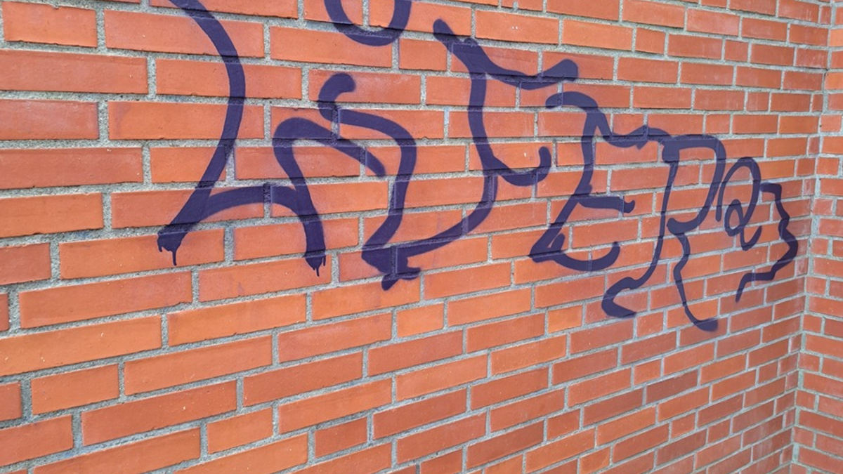 POL-HL: OH-Ahrensbök / Unbekannte richten hohen Sachschaden durch Graffiti an - Foto: presseportal.de