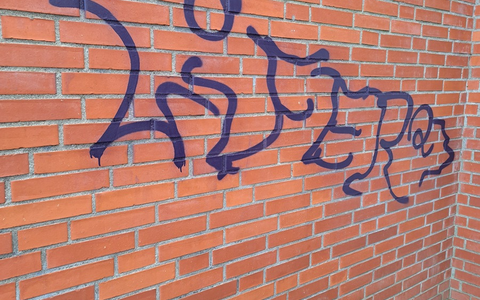 POL-HL: OH-Ahrensbök / Unbekannte richten hohen Sachschaden durch Graffiti an - Foto: presseportal.de