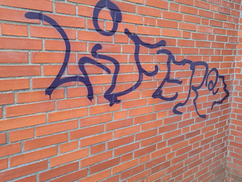 POL-HL: OH-Ahrensbök / Unbekannte richten hohen Sachschaden durch Graffiti an - Foto: presseportal.de