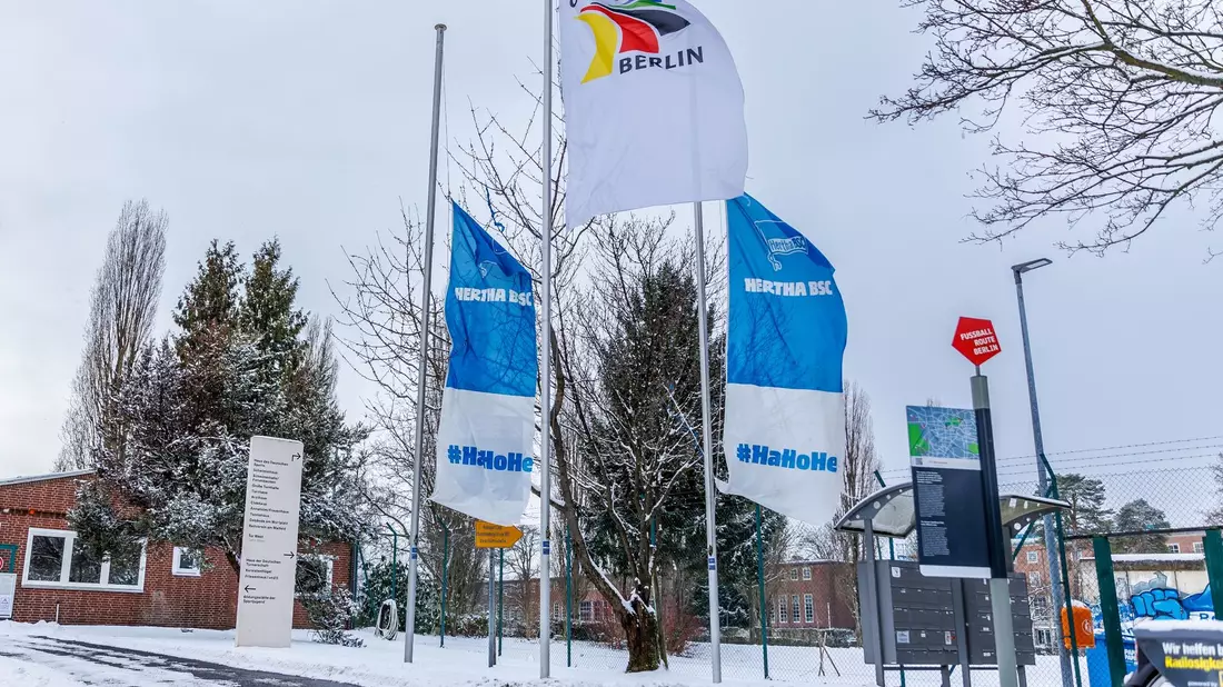Fahnen von Hertha BSC wehen auf Halbmast im Wind vor der Geschäftstelle. - Bild: Andreas Gora/dpa