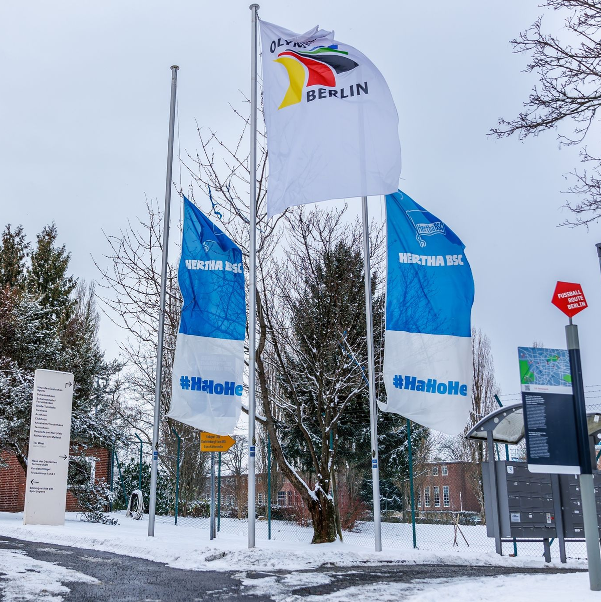 Fahnen von Hertha BSC wehen auf Halbmast im Wind vor der Geschäftstelle. - Foto: Andreas Gora/dpa