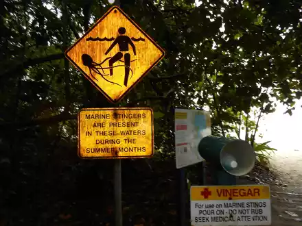 Schilder warnen giftigen Quallen: Normalerweise leben Irukandjis eher in tropischeren Gewässern im hohen Norden. Nun sorgen sie für Probleme auf der australischen Urlaubsinsel K'gari (früher Fraser Island). - Foto: Carola Frentzen/dpa