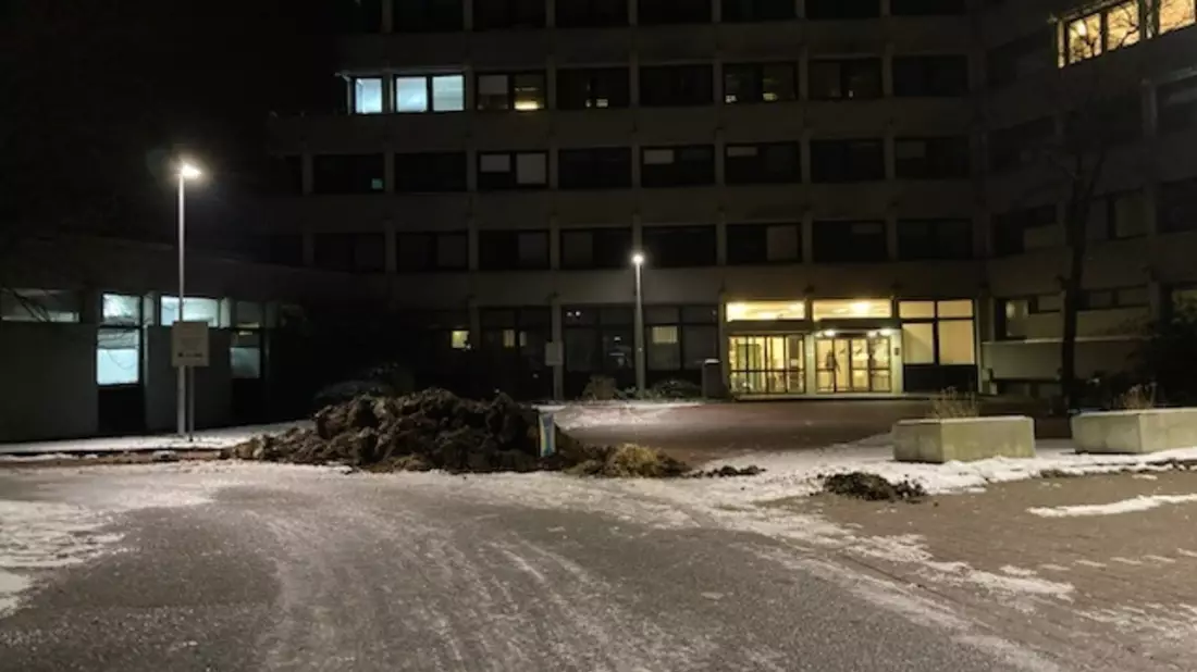 POL-STD: VW Golf in Wischhafen entwendet, Außenbordmotoren in Stade entwendet, Unbekannte kippen eine Ladung Mist vor das Stader Finanzamt - Polizei sucht Zeugen - Bild: presseportal.de