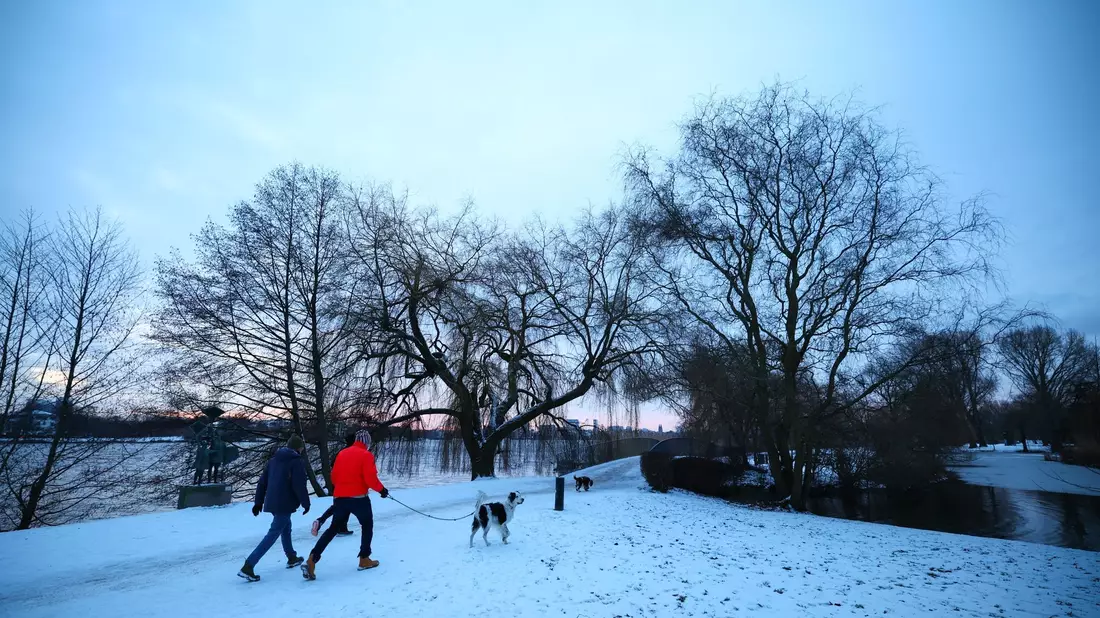 Auch in Hamburg hat es geschneit: Spaziergänger sind an der Außenalster mit  Hunden unterwegs. - Bild: Christian Charisius/dpa