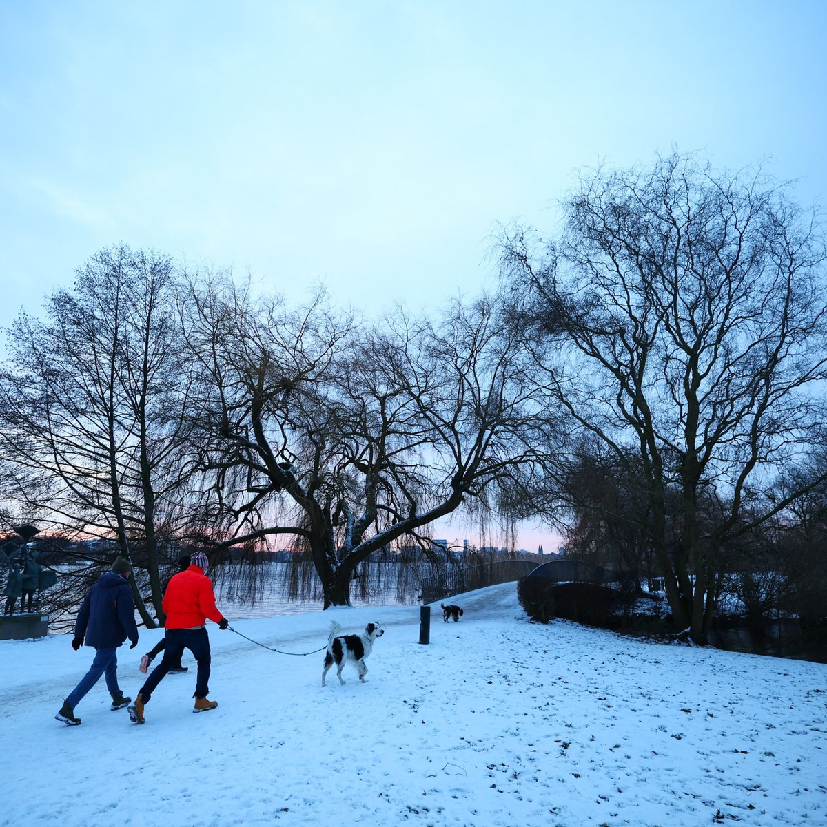 Auch in Hamburg hat es geschneit: Spaziergänger sind an der Außenalster mit  Hunden unterwegs. - Foto: Christian Charisius/dpa