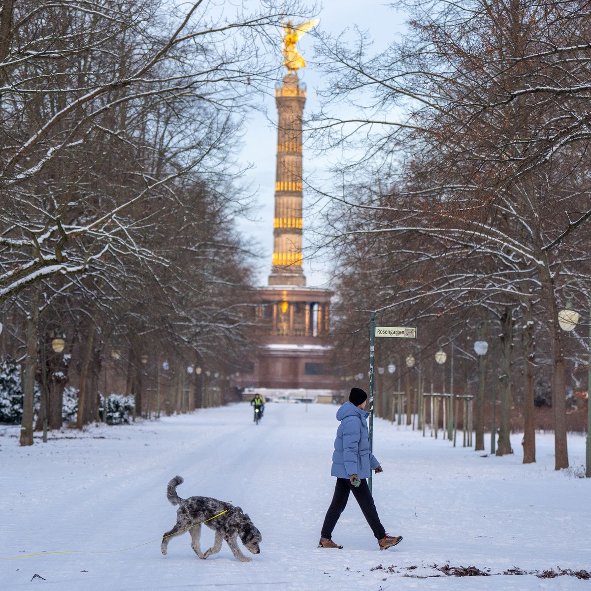 Eine Frau geht mit ihrem Hund vor der Kulisse der Siegessäule im verschneiten Tiergarten in Berlin spazieren. - Foto: Soeren Stache/dpa