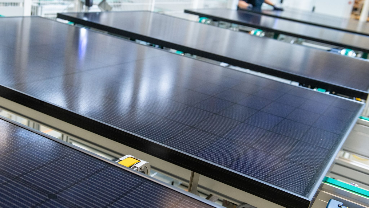 Blick in das Werk der Meyer Burger Technology AG in Freiberg. - Foto: Hendrik Schmidt/dpa-Zentralbild/dpa