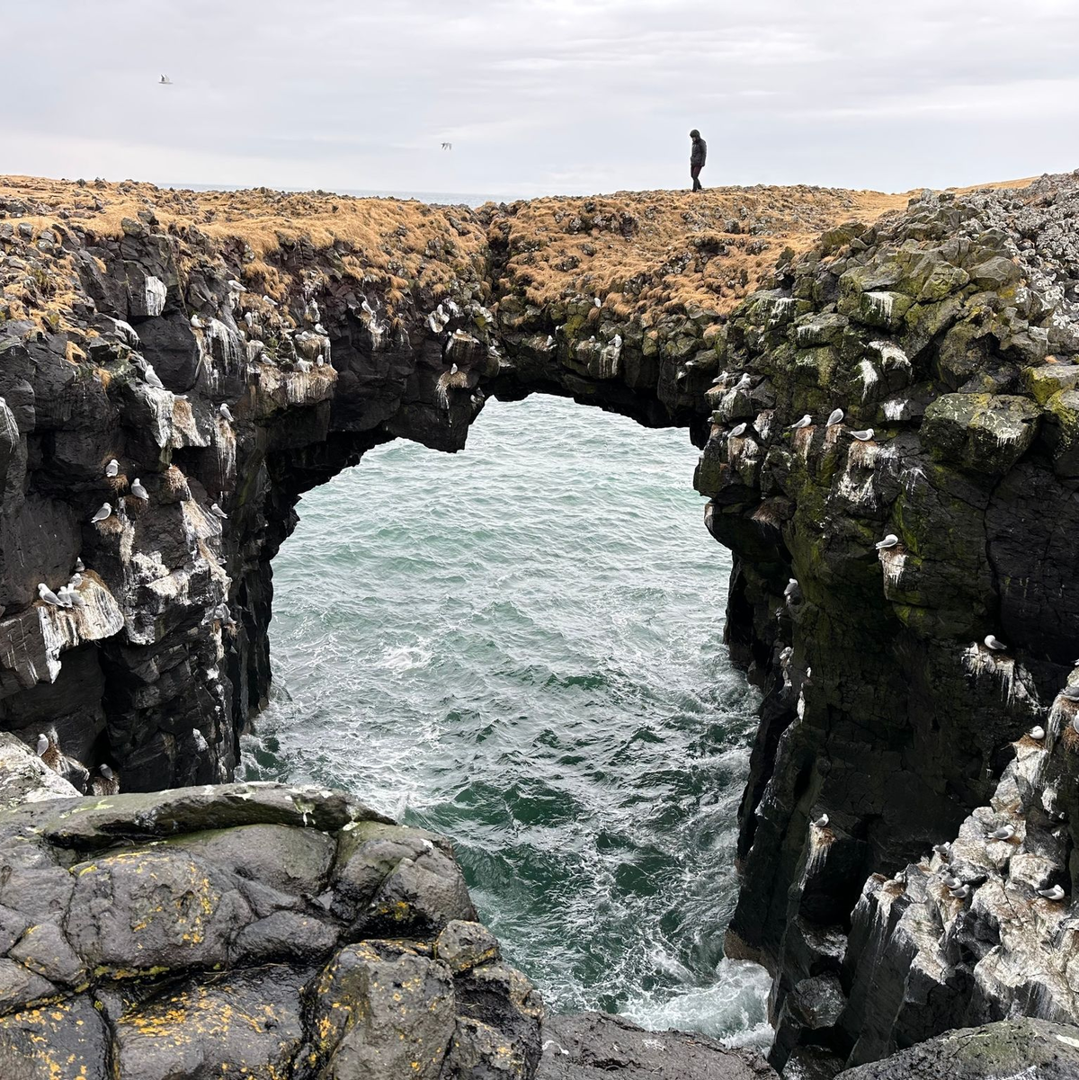 Die Steinbrücke bei Arnarstapi auf der isländischen Halbinsel Snaefellsnes ist auch ein beliebtes Fotomotiv. - Foto: Steffen Trumpf/dpa