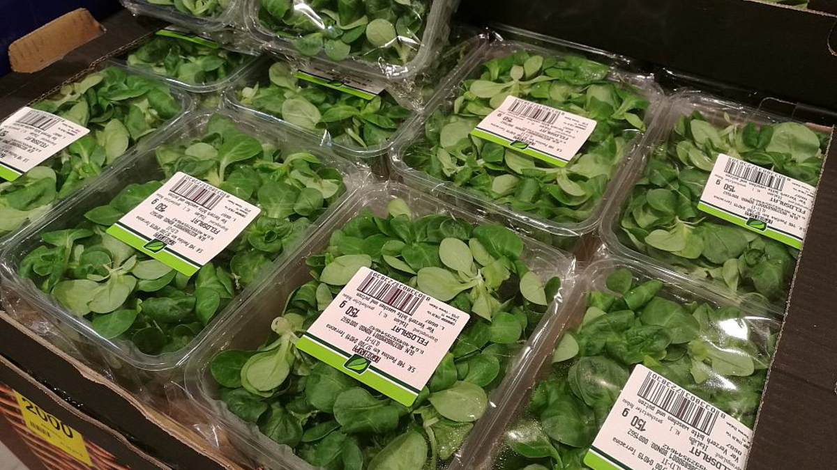 Feldsalat (Archiv) - Foto: über dts Nachrichtenagentur