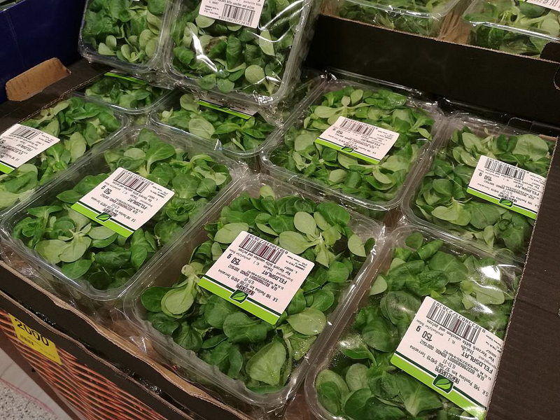 Feldsalat (Archiv) - Foto: über dts Nachrichtenagentur