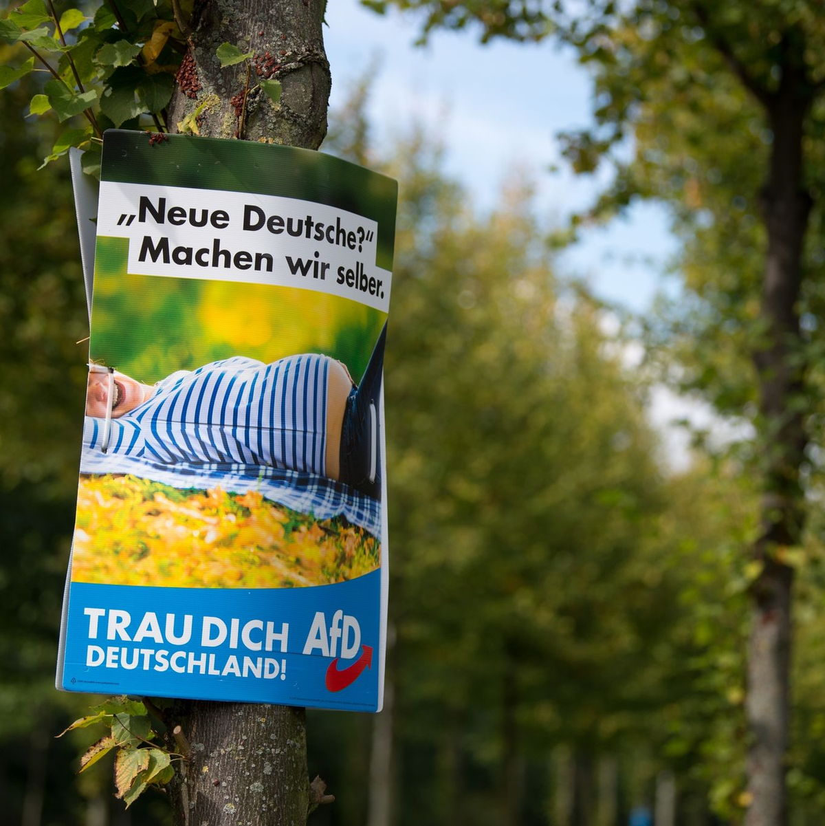 Ein AfD-Wahlplakat aus dem Jahr 2017 in Dresden. - Foto: Arno Burgi/dpa