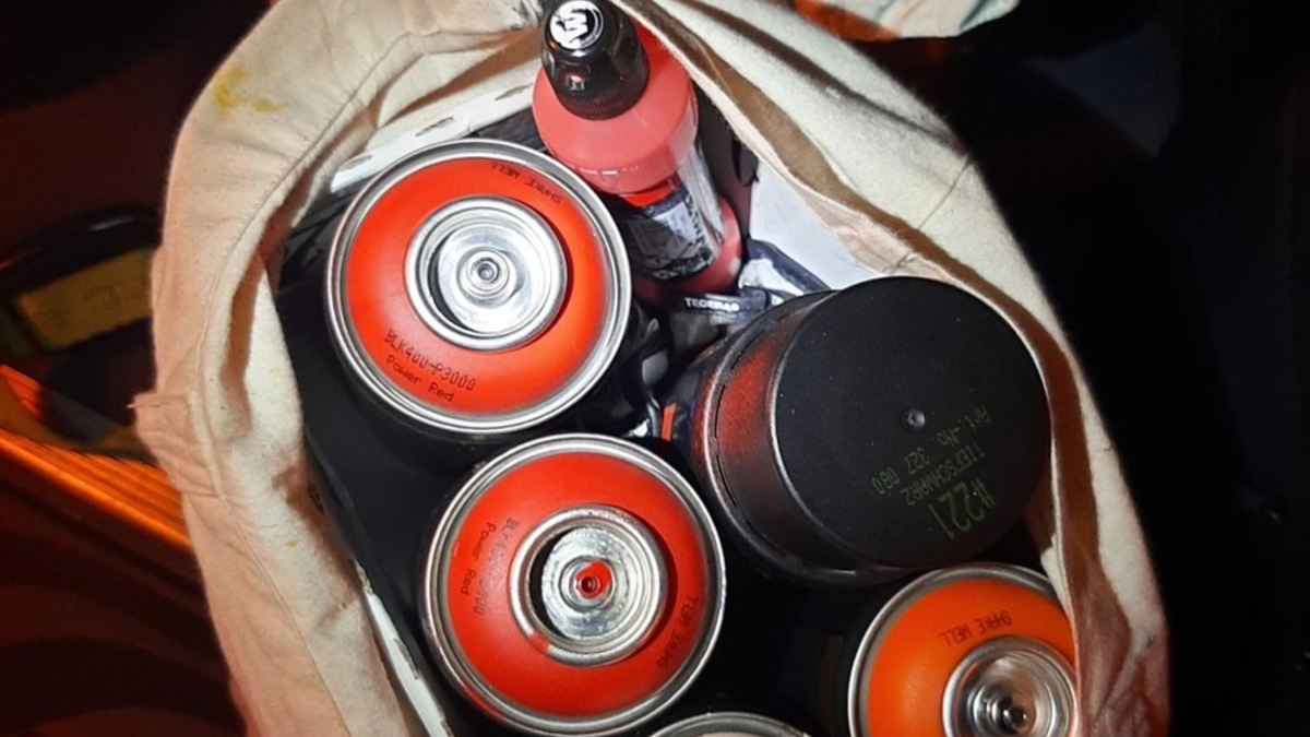 BPOL-H: Landkreis Gifhorn; Bundespolizeihubschrauber überführt Graffititäter auf frischer Tat - Foto: presseportal.de