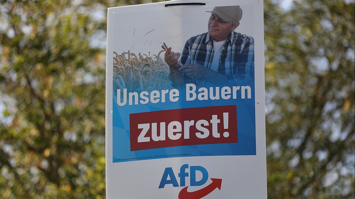 AfD-Wahlplakat zur Landtagswahl in Bayern 2023 (Archiv) - Foto: über dts Nachrichtenagentur