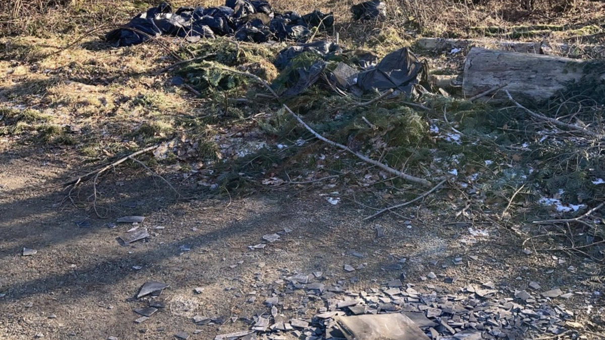 POL-LDK: Illegal Müll entsorgt+Unfallflucht in Katzenfurt+Zeugenaufruf nach Hundebiss+ - Foto: presseportal.de