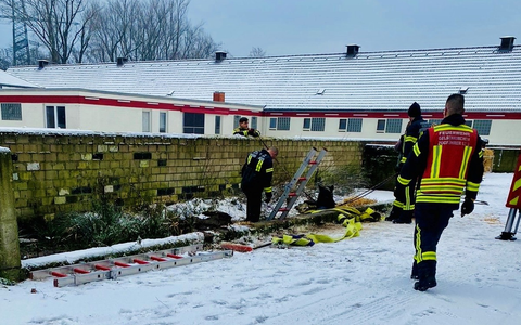 FW-GE: Pferd in Mistgrube gefallen - durch Feuerwehr gerettet - Foto: presseportal.de