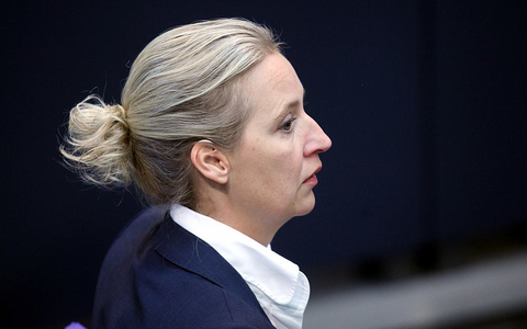 Alice Weidel (Archiv) - Foto: über dts Nachrichtenagentur