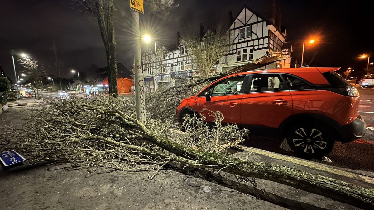 Der britische Wetterdienst warnt vor extrem starkem Wind und Regen: In der nordirischen Hauptstadt Belfast sind mehrere Bäume umgestürzt. - Foto: Liam Mcburney/PA Wire/dpa
