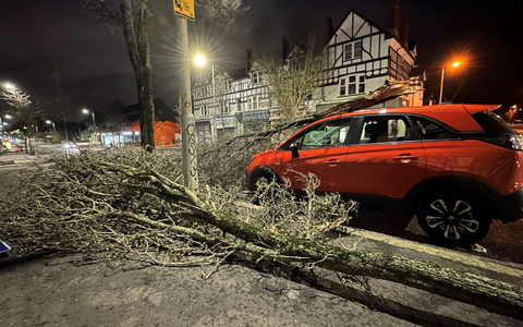 Der britische Wetterdienst warnt vor extrem starkem Wind und Regen: In der nordirischen Hauptstadt Belfast sind mehrere Bäume umgestürzt. - Foto: Liam Mcburney/PA Wire/dpa