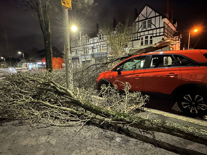 Der britische Wetterdienst warnt vor extrem starkem Wind und Regen: In der nordirischen Hauptstadt Belfast sind mehrere Bäume umgestürzt. - Foto: Liam Mcburney/PA Wire/dpa
