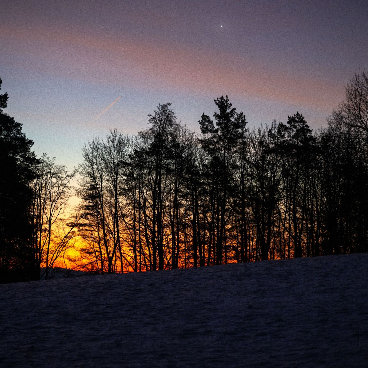Südlich der Alb und in großen Teilen Bayerns wird es bis in den Vormittag bei null bis Minus fünf Grad besonders frostig - südlich der Donau und im Bayerischen Wald sogar bis Minus zehn Grad. - Foto: Pia Bayer/dpa
