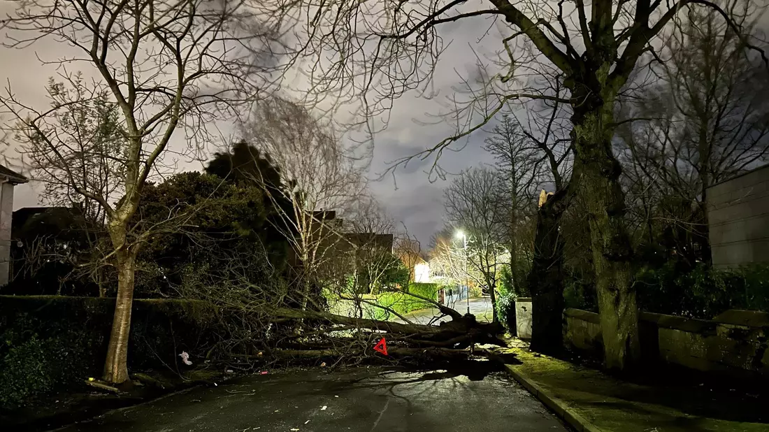 Ein abgebrochener Ast versperrt die Notting Hill Road in Süd-Belfast. - Bild: Liam Mcburney/PA Wire/dpa