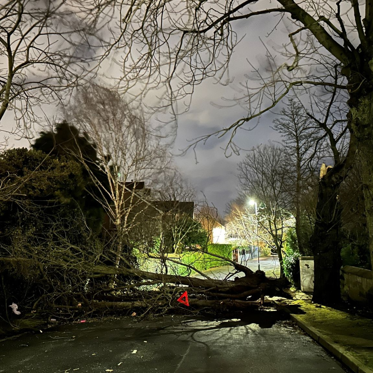 Ein abgebrochener Ast versperrt die Notting Hill Road in Süd-Belfast. - Foto: Liam Mcburney/PA Wire/dpa