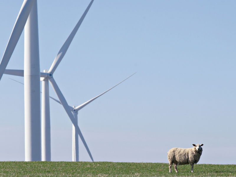PPAs decken rund ein Viertel des Stromverbrauchs von SCHOTT in Deutschland - Foto: presseportal.de