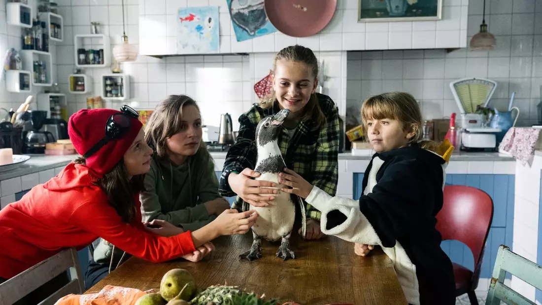 Lilit Serger (l-r) als Livi, Momo Beier als Tessa, Cara Vondey als Malea und Rona Regjepi als Kenny in einer Szene des Films «Die Chaosschwestern und Pinguin Paul». - Bild: Martin Valentin Menke/DCM/Martin Valentin Menke/dpa