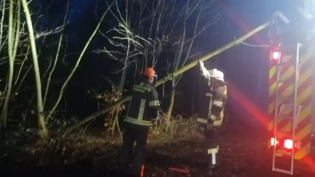 FW-WRN: Löschgruppe Langern entfernt umgestürzten Baum - Bild: presseportal.de