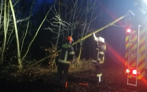 FW-WRN: Löschgruppe Langern entfernt umgestürzten Baum - Foto: presseportal.de