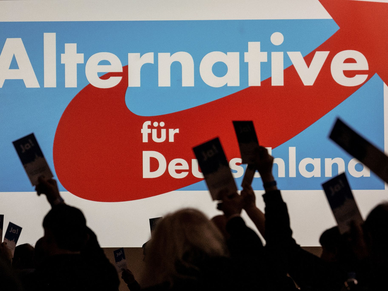 Nach eigenen Angaben zählt die AfD rund 41.000 Mitglieder - Tendenz steigend. - Foto: Swen Pförtner/dpa