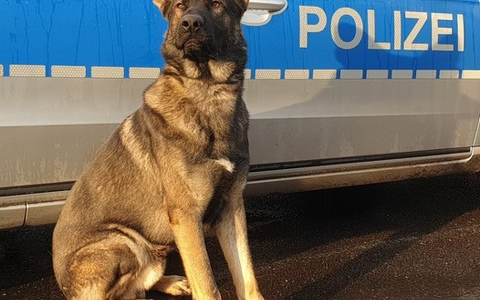 POL-HH: 240123-2. Mehrere Durchsuchungsbeschlüsse nach Verdacht des Drogenhandels in Hamburg-Wilhelmsburg vollstreckt - Foto: presseportal.de