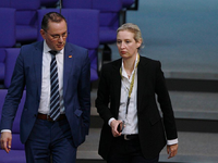 Tino Chrupalla und Alice Weidel am 18.01.2024 - Foto: über dts Nachrichtenagentur