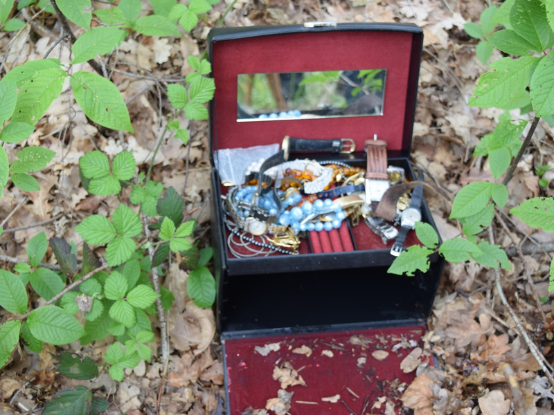 POL-WHV: Polizei stellt Modeschmuck sicher - Hinweise an die Polizei Varel (mit Bild) - Foto: presseportal.de