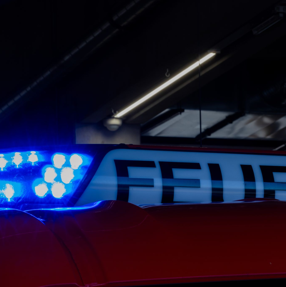  In der Nacht zum Dienstag ist die Carolabrücke in Dresden teilweise eingestürzt. (Symbolbild) - Foto: Rolf Vennenbernd/dpa