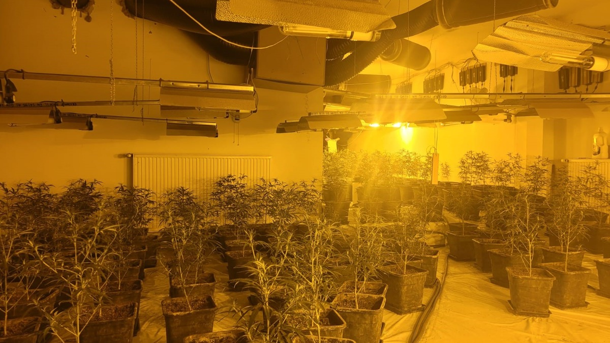 POL-MG: Gemeinsame Presseerklärung der Staatsanwaltschaft Mönchengladbach und der Polizei Mönchengladbach: Durchsuchungen und Festnahmen wegen Verdacht des Handels mit Cannabis - Foto: presseportal.de