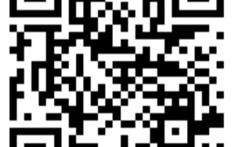 POL-H: Zeugenaufruf: Polizei Hannover sucht Videomaterial von Fanmarsch im Vorfeld des Fußballderbys zwischen Hannover 96 und Eintracht Braunschweig im November 2023 - Foto: presseportal.de