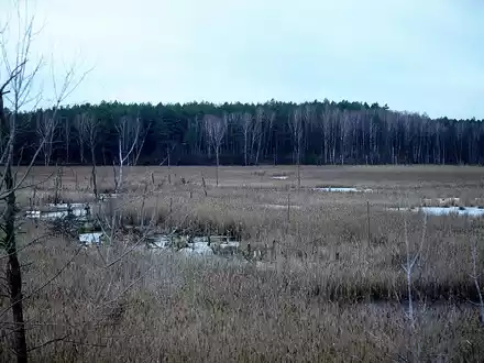 Moorlandschaft (Archiv) - Foto: über dts Nachrichtenagentur
