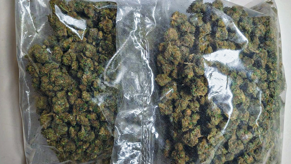 HZA-OL: ZOLL: Große Drogenaufgriffe - Foto: presseportal.de