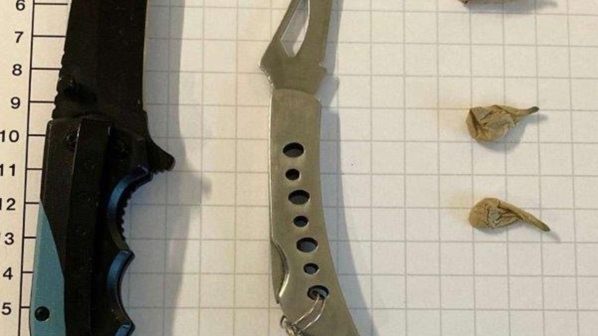 FW Bad Säckingen: Gartenhütte ausgebrannt - Foto: presseportal.de