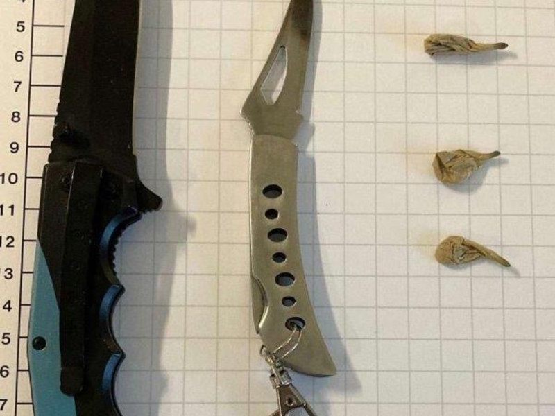 FW Bad Säckingen: Gartenhütte ausgebrannt - Foto: presseportal.de